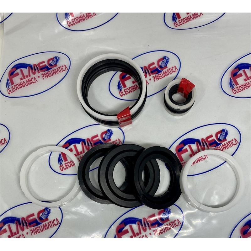 TPM TPL PDE tenuta pistone