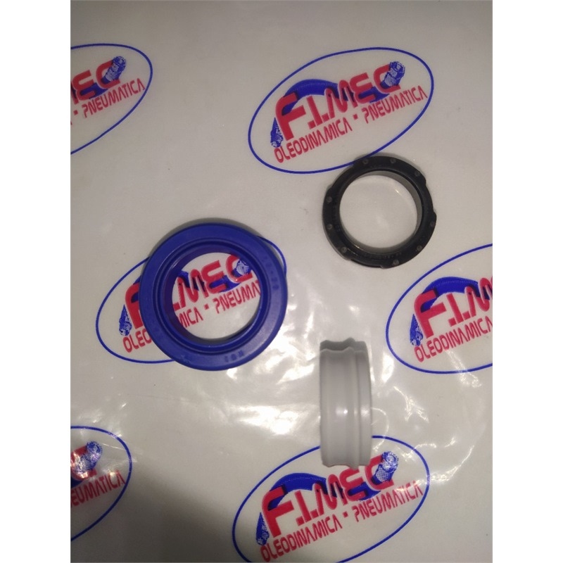 NIPSL K51 AUNIPSL DIP K53